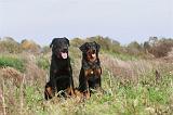 BEAUCERON 330